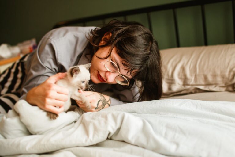 Cuidados esenciales para tu gatito recién llegado al hogar