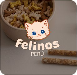 Gatito Siames Macho miniatura 2